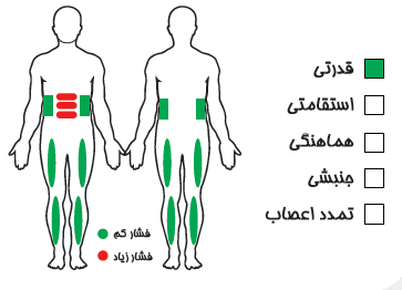 دستگاه جلو پا و فیله کمر