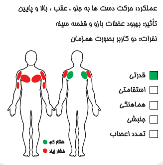پرس سینه و سرشانه