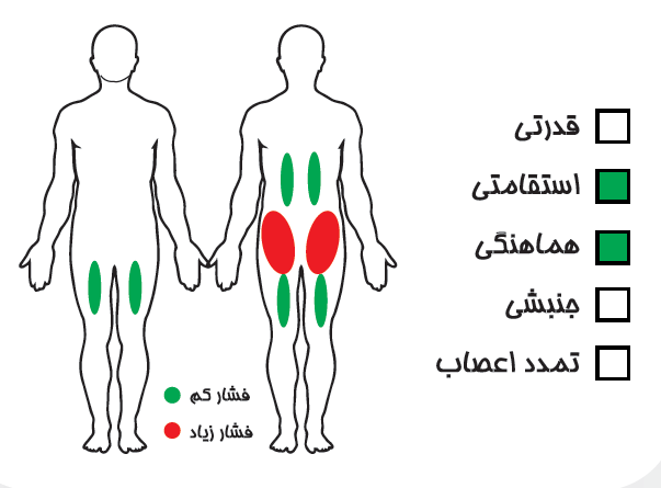 ست بدنسازی اسکی گام زن - تصویر 2
