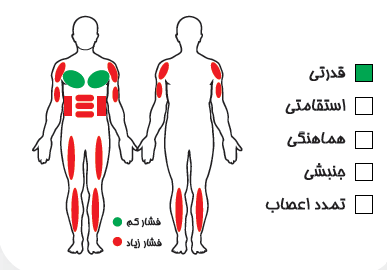 ست بدنسازی عضلات شکم
